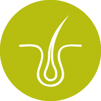 Hautarzt
